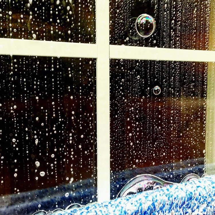Clean windows by TallBoys